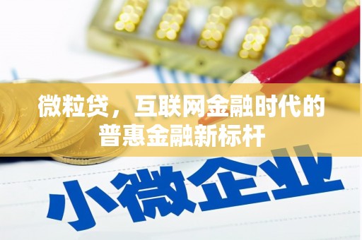 吉木萨尔微粒贷，互联网金融时代的普惠金融新标杆