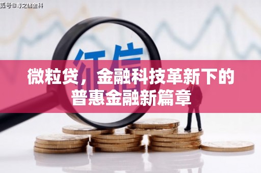吉木萨尔微粒贷，金融科技革新下的普惠金融新篇章