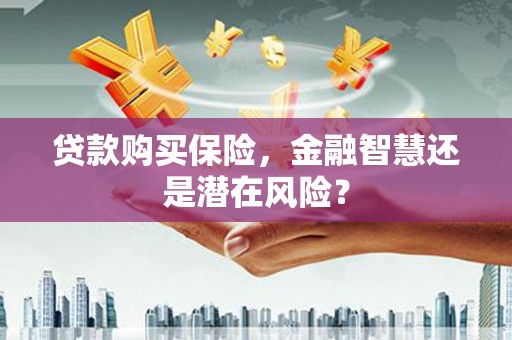 吉木萨尔贷款购买保险，金融智慧还是潜在风险？
