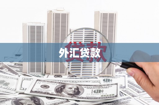 吉木萨尔外汇贷款
