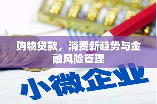 吉木萨尔购物贷款，消费新趋势与金融风险管理