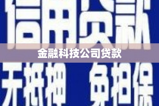 吉木萨尔金融科技公司贷款