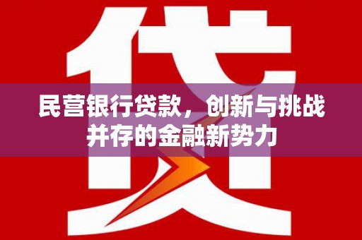 吉木萨尔民营银行贷款，创新与挑战并存的金融新势力