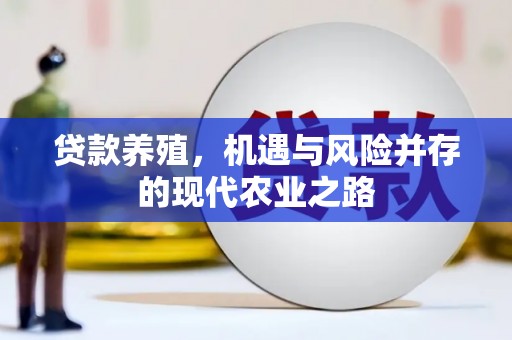 吉木萨尔贷款养殖，机遇与风险并存的现代农业之路