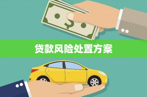 吉木萨尔贷款风险处置方案