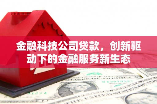 吉木萨尔金融科技公司贷款，创新驱动下的金融服务新生态