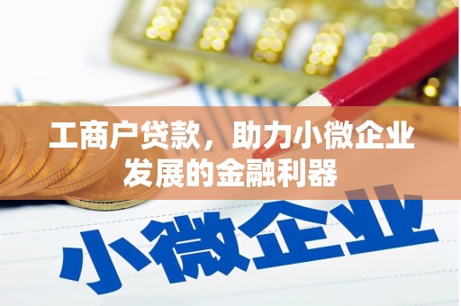 吉木萨尔工商户贷款，助力小微企业发展的金融利器