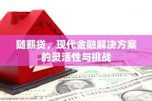 吉木萨尔随薪贷，现代金融解决方案的灵活性与挑战