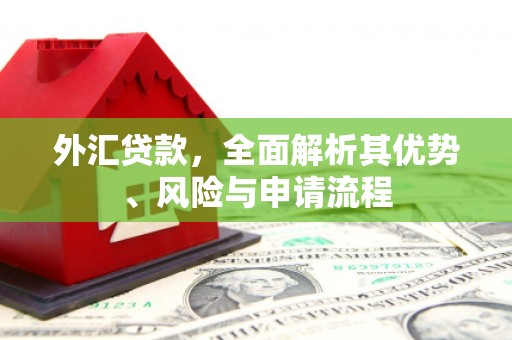 吉木萨尔外汇贷款，全面解析其优势、风险与申请流程