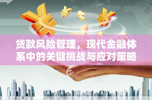吉木萨尔贷款风险管理，现代金融体系中的关键挑战与应对策略