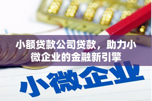 吉木萨尔小额贷款公司贷款，助力小微企业的金融新引擎