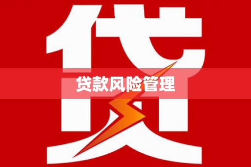 吉木萨尔贷款风险管理