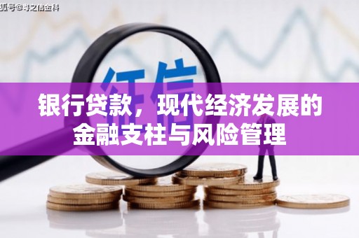 吉木萨尔银行贷款，现代经济发展的金融支柱与风险管理