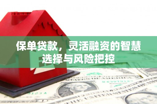 吉木萨尔保单贷款，灵活融资的智慧选择与风险把控