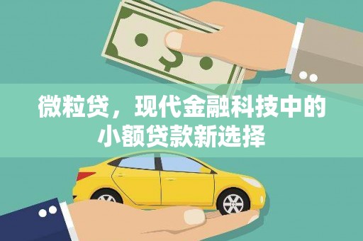 吉木萨尔微粒贷，现代金融科技中的小额贷款新选择