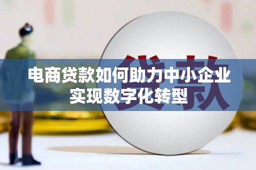 吉木萨尔电商贷款如何助力中小企业实现数字化转型