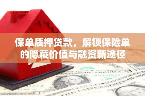 吉木萨尔保单质押贷款，解锁保险单的隐藏价值与融资新途径