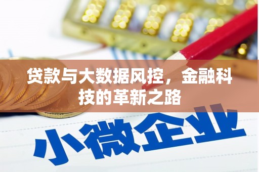 吉木萨尔贷款与大数据风控，金融科技的革新之路