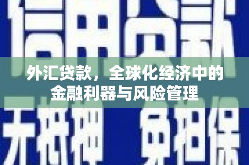 吉木萨尔外汇贷款，全球化经济中的金融利器与风险管理