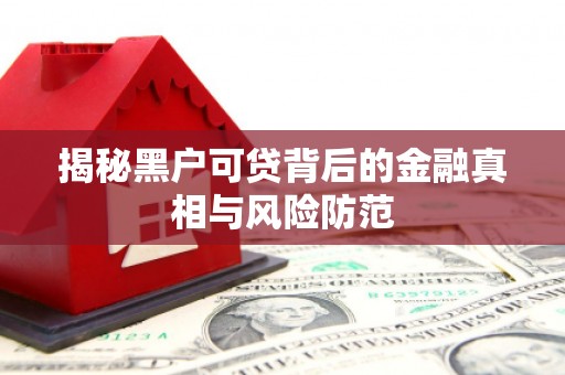 吉木萨尔揭秘黑户可贷背后的金融真相与风险防范