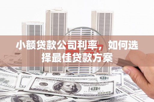 吉木萨尔小额贷款公司利率，如何选择最佳贷款方案
