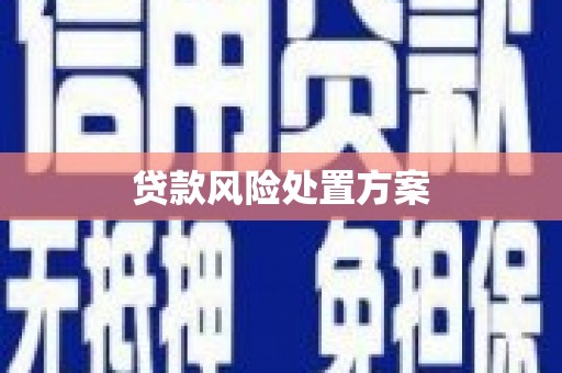 吉木萨尔贷款风险处置方案