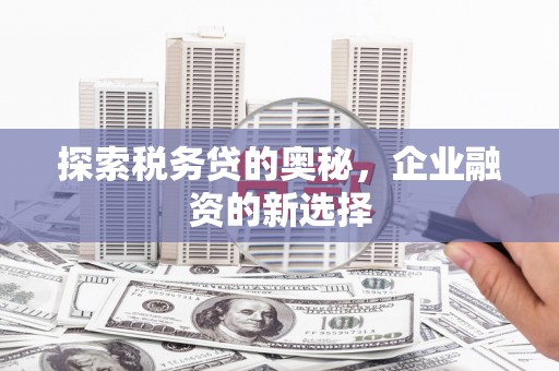 吉木萨尔探索税务贷的奥秘，企业融资的新选择