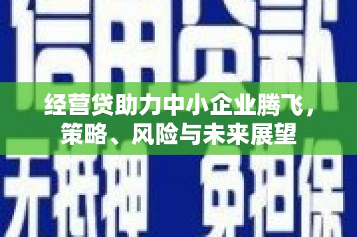 吉木萨尔经营贷助力中小企业腾飞，策略、风险与未来展望