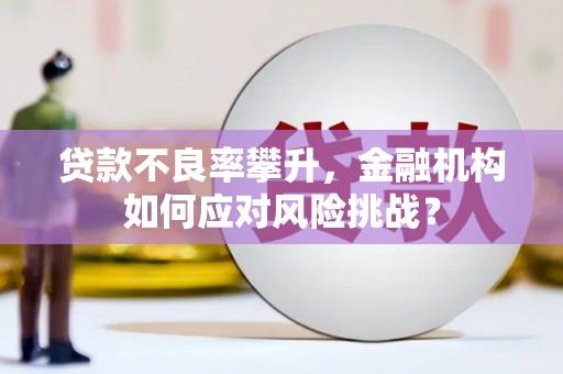 吉木萨尔贷款不良率攀升，金融机构如何应对风险挑战？