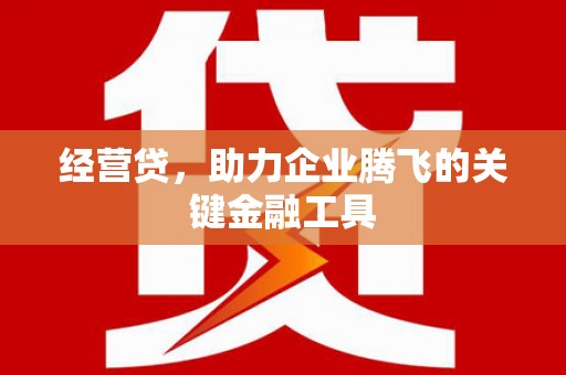 吉木萨尔经营贷，助力企业腾飞的关键金融工具