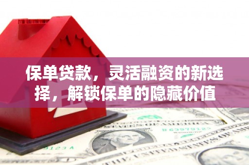 吉木萨尔保单贷款，灵活融资的新选择，解锁保单的隐藏价值