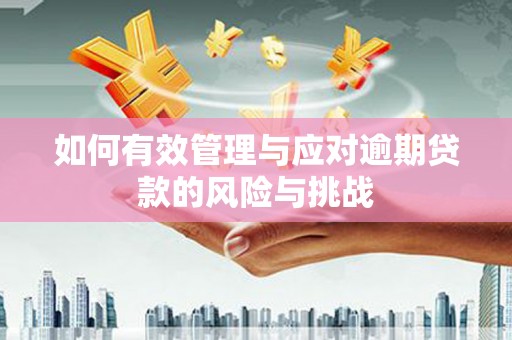吉木萨尔如何有效管理与应对逾期贷款的风险与挑战
