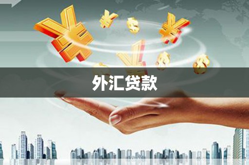 吉木萨尔外汇贷款