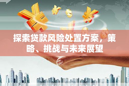 吉木萨尔探索贷款风险处置方案，策略、挑战与未来展望