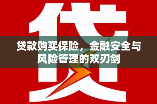 吉木萨尔贷款购买保险，金融安全与风险管理的双刃剑