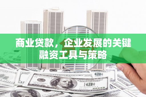 吉木萨尔商业贷款，企业发展的关键融资工具与策略