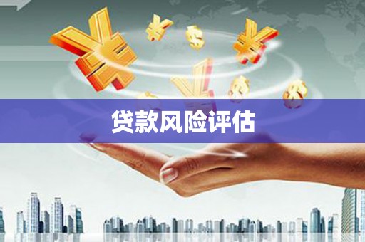 吉木萨尔贷款风险评估