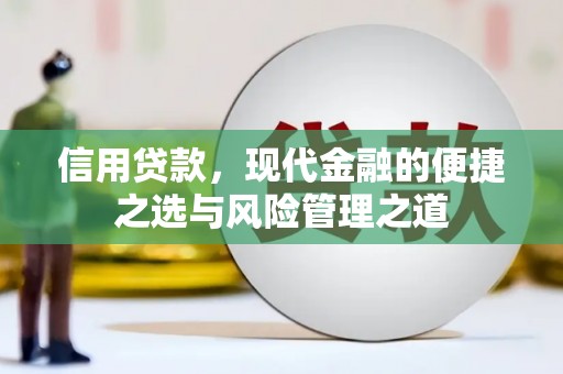 吉木萨尔信用贷款，现代金融的便捷之选与风险管理之道