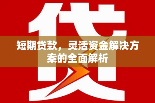吉木萨尔短期贷款，灵活资金解决方案的全面解析