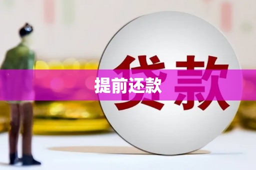 吉木萨尔提前还款