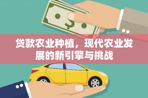 吉木萨尔贷款农业种植，现代农业发展的新引擎与挑战