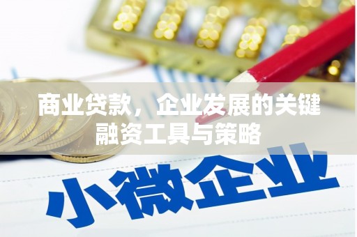 吉木萨尔商业贷款，企业发展的关键融资工具与策略