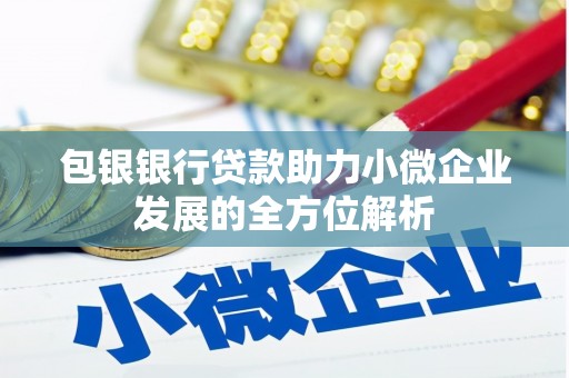 吉木萨尔包银银行贷款助力小微企业发展的全方位解析
