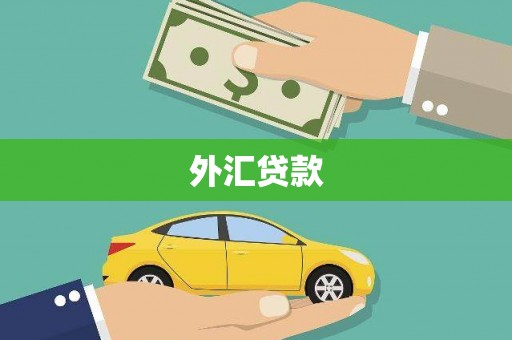 吉木萨尔外汇贷款