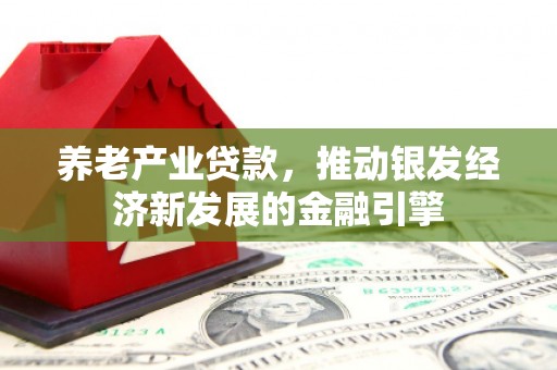 吉木萨尔养老产业贷款，推动银发经济新发展的金融引擎
