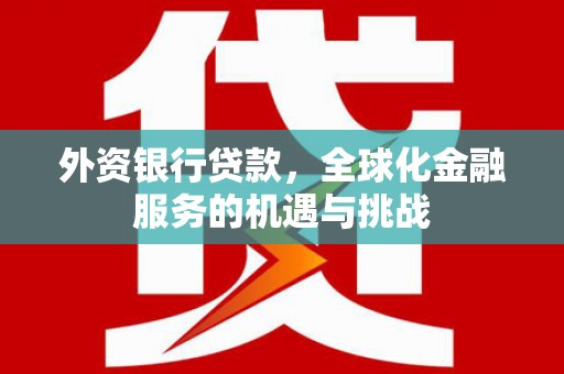 吉木萨尔外资银行贷款，全球化金融服务的机遇与挑战