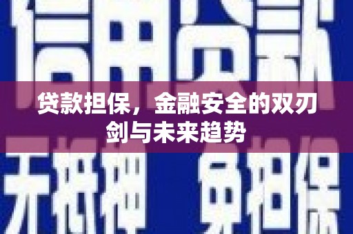 吉木萨尔贷款担保，金融安全的双刃剑与未来趋势