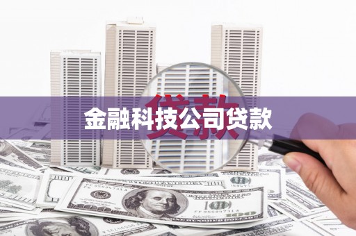 吉木萨尔金融科技公司贷款