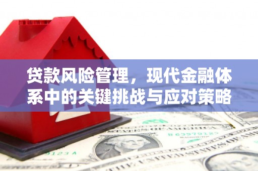 吉木萨尔贷款风险管理，现代金融体系中的关键挑战与应对策略