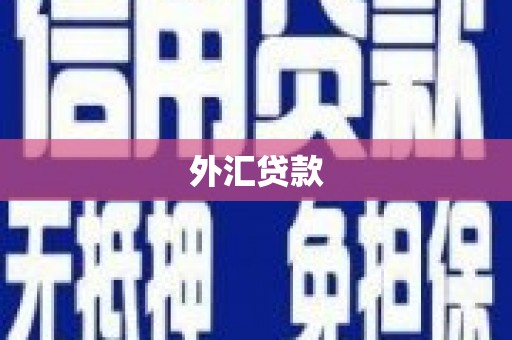 吉木萨尔外汇贷款